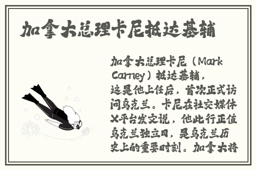成网站w灬源码1688